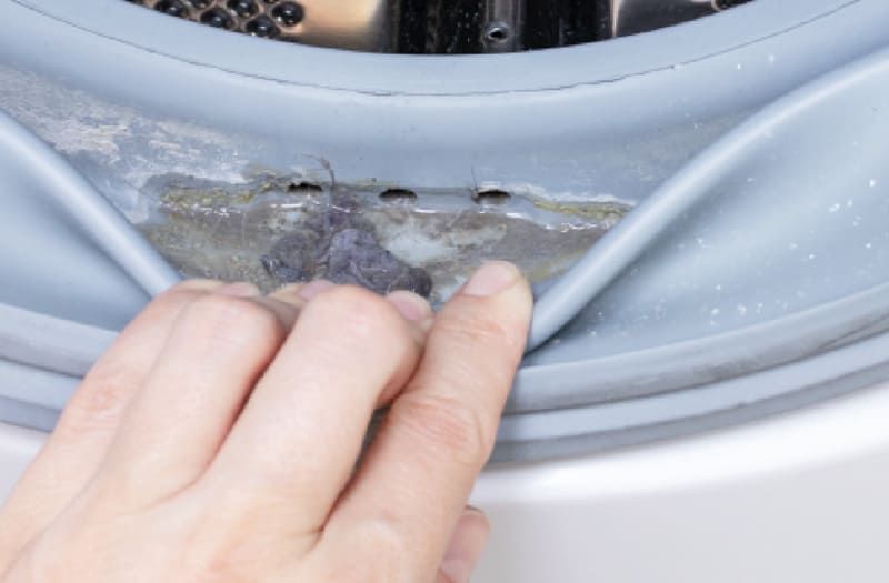 Faltenbalgdichtung-waschmaschine
